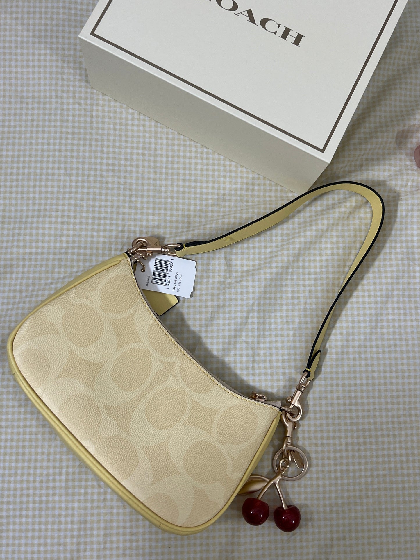 Coach Teri Shoulder Bag (with Box, Charm and long strap)