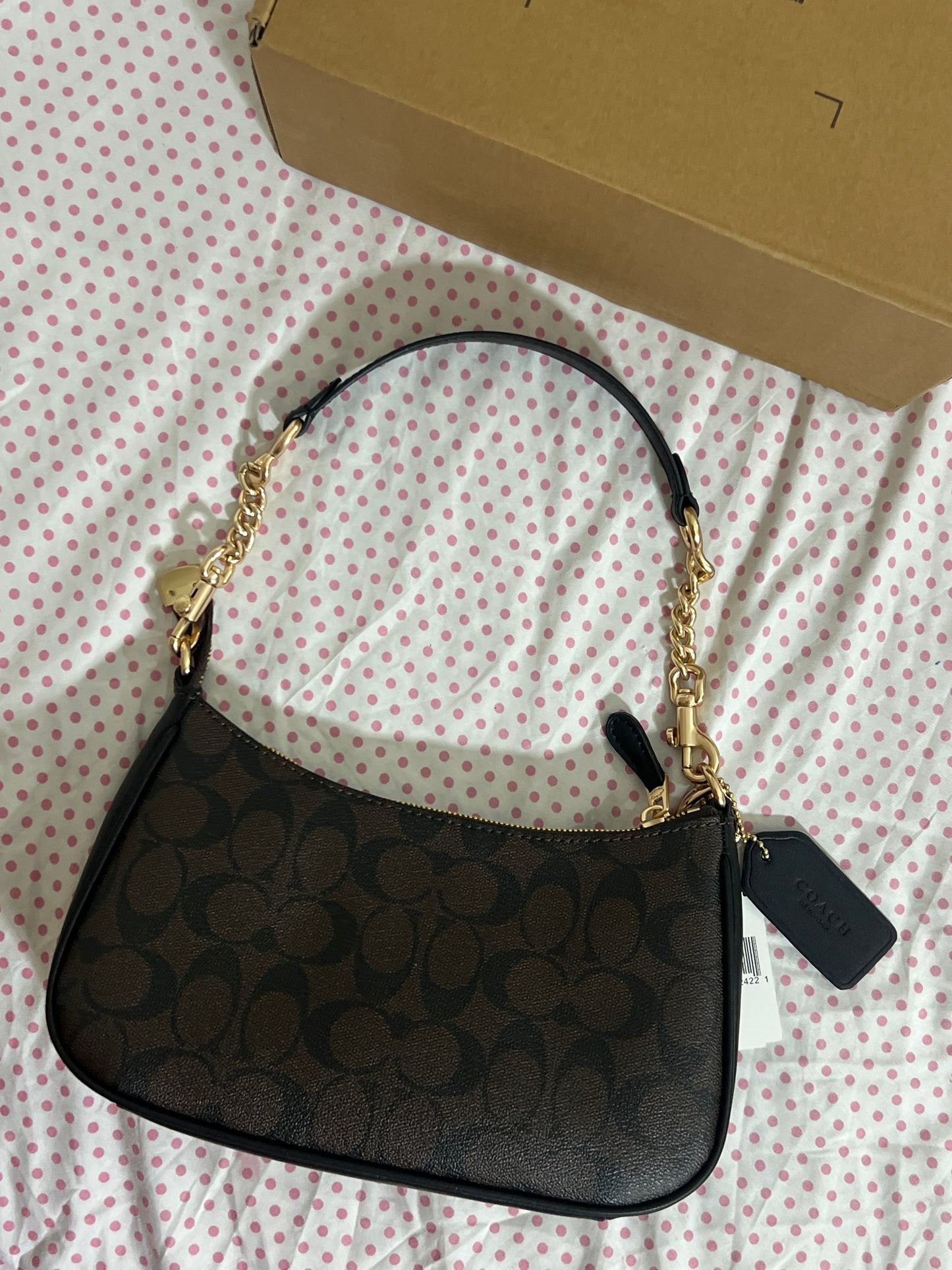 Coach Teri Shoulder Bag (with Box, Charm and long strap)
