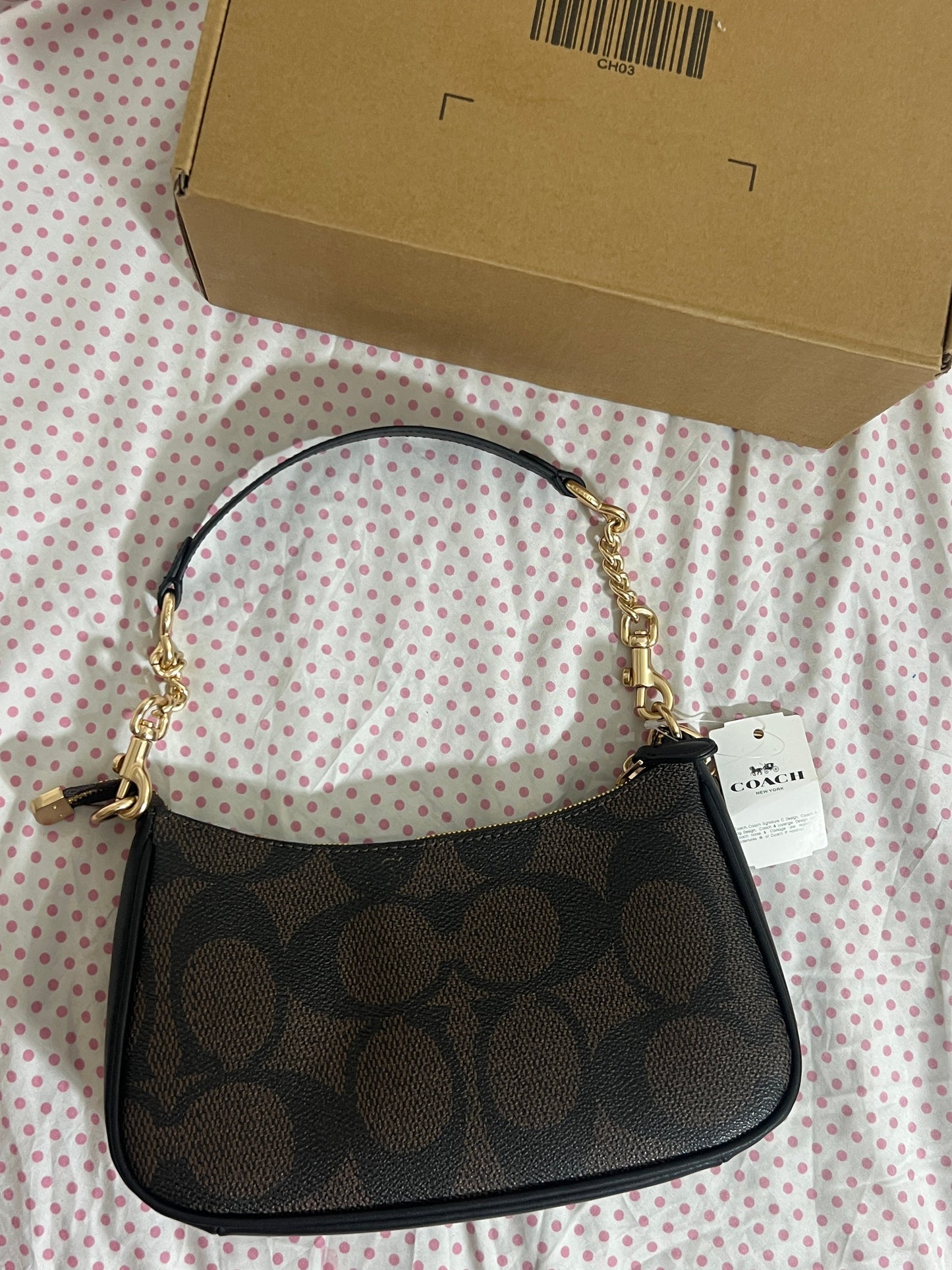 Coach Teri Shoulder Bag (with Box, Charm and long strap)