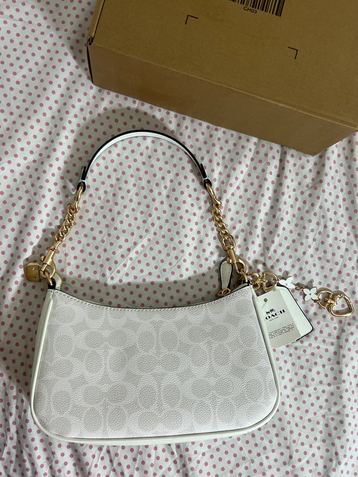 Coach Teri Shoulder Bag (with Box, Charm and long strap)