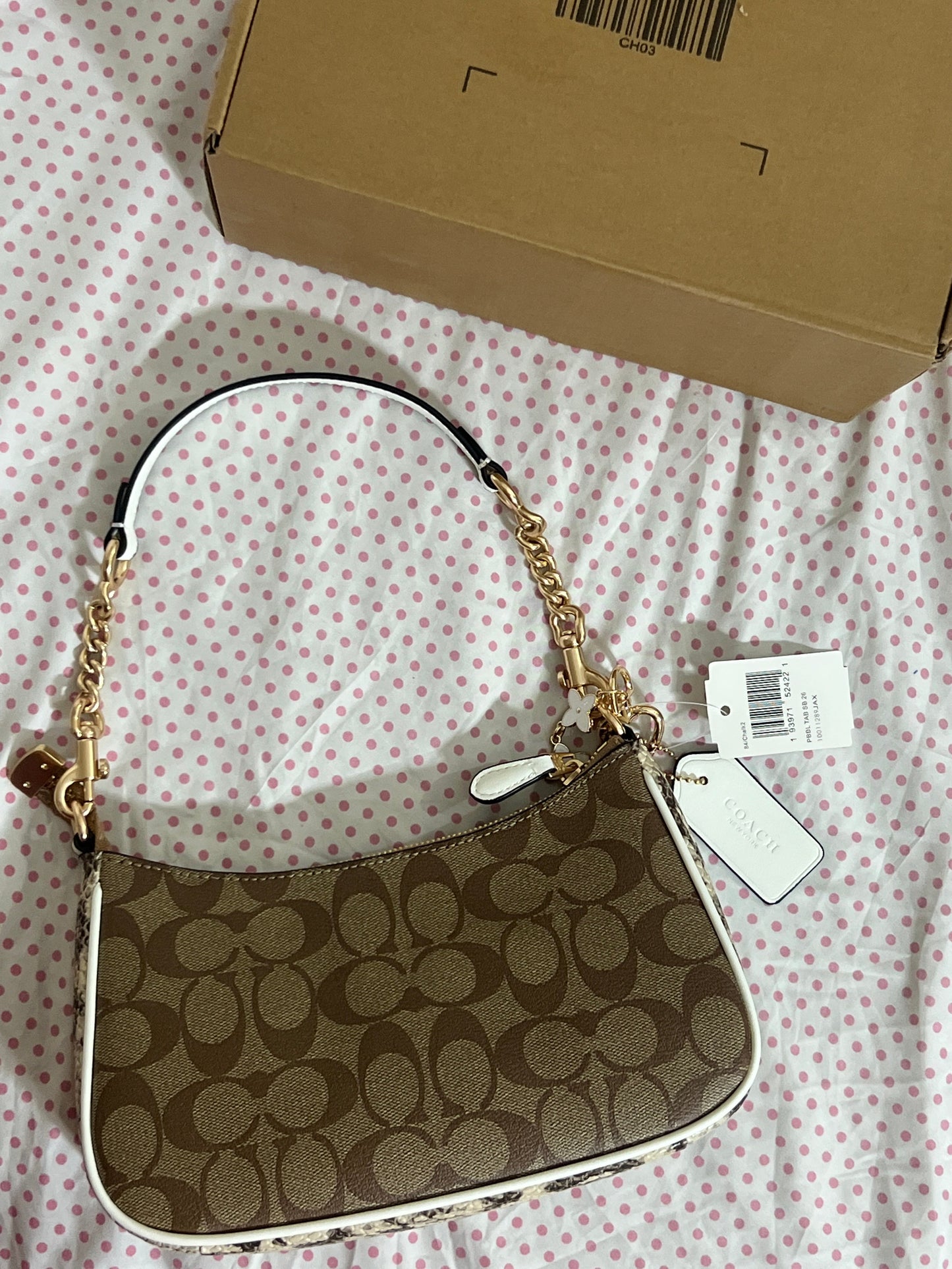 Coach Teri Shoulder Bag (with Box, Charm and long strap)