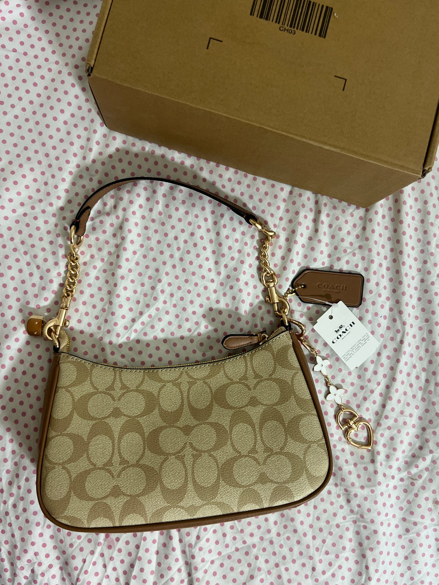 Coach Teri Shoulder Bag (with Box, Charm and long strap)