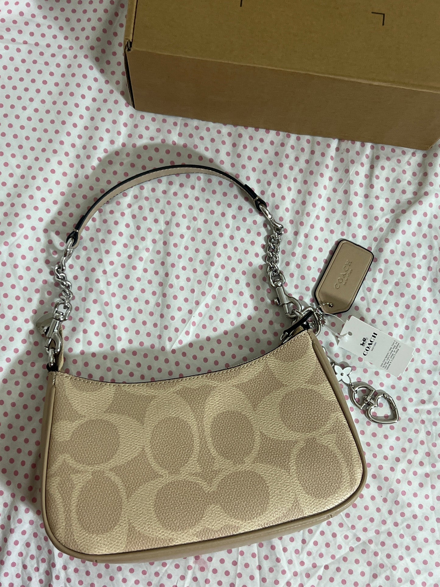 Coach Teri Shoulder Bag (with Box, Charm and long strap)