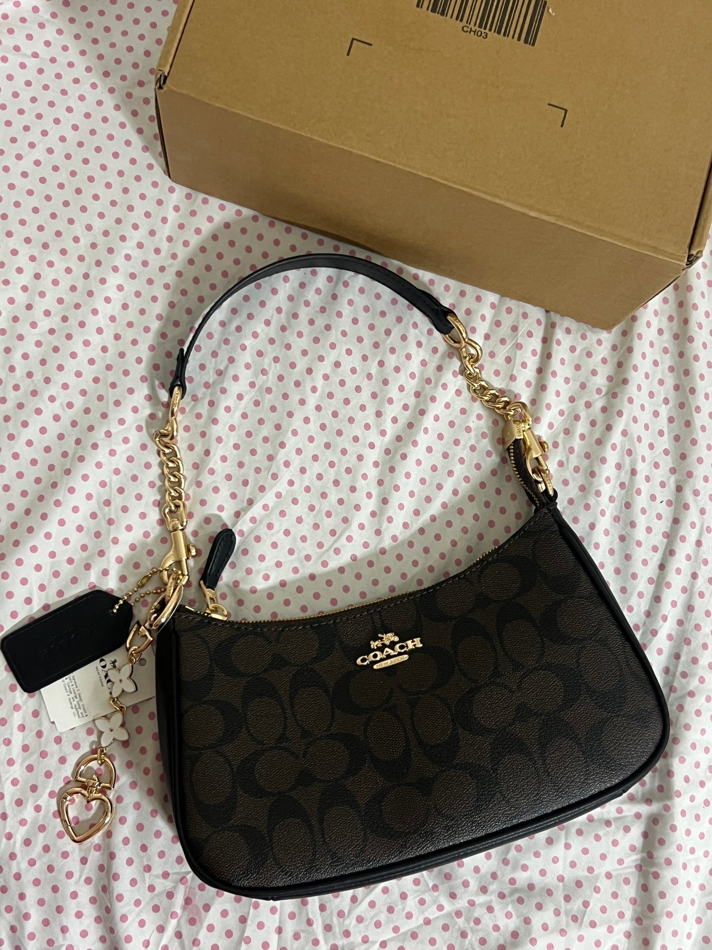 Coach Teri Shoulder Bag (with Box, Charm and  long strap)