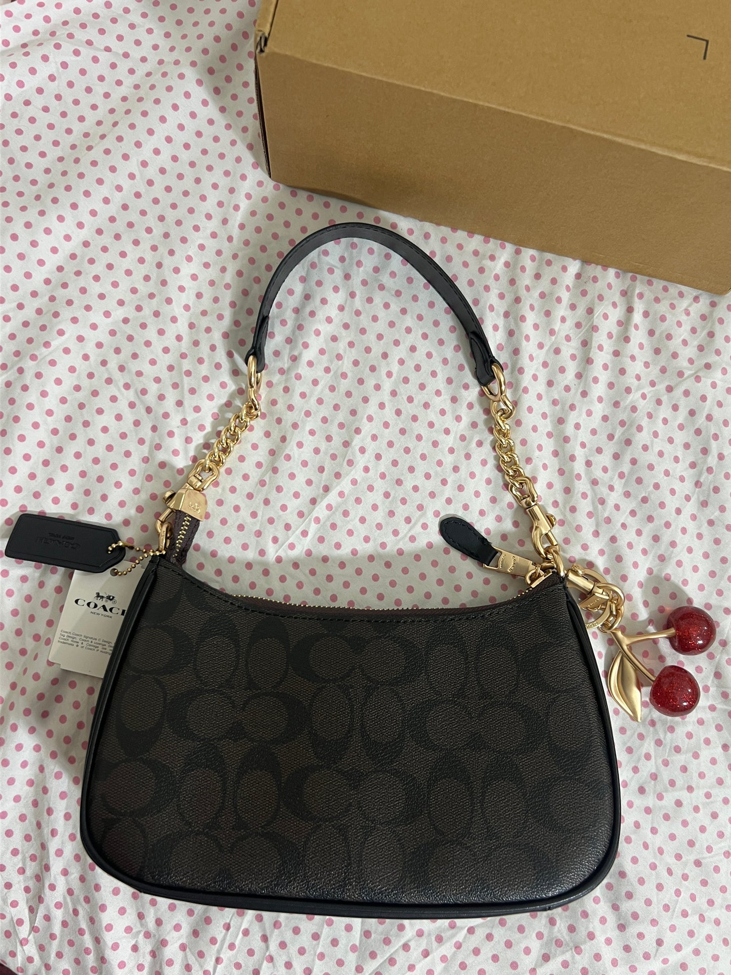 Coach Teri Shoulder Bag (with Box, Charm and  long strap)